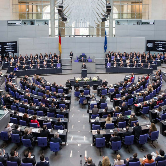 Advocacy and Representation in Mexico and Germany