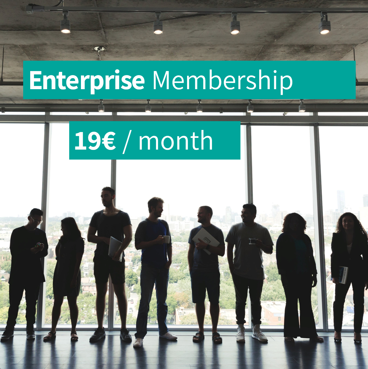 b) Enterprise-Mitgliedschaft 19 € pro Monat