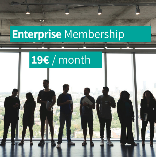 b) Enterprise Membership 19€ per month