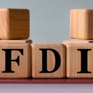 Foreign Direct Investment - Lead Generation Services
